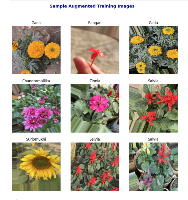 Bangladeshi Flower Image Classification